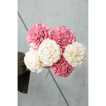 Fresh Shola Flower